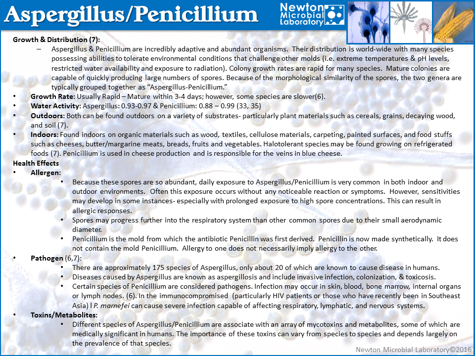 Aspergillus and Pencillium